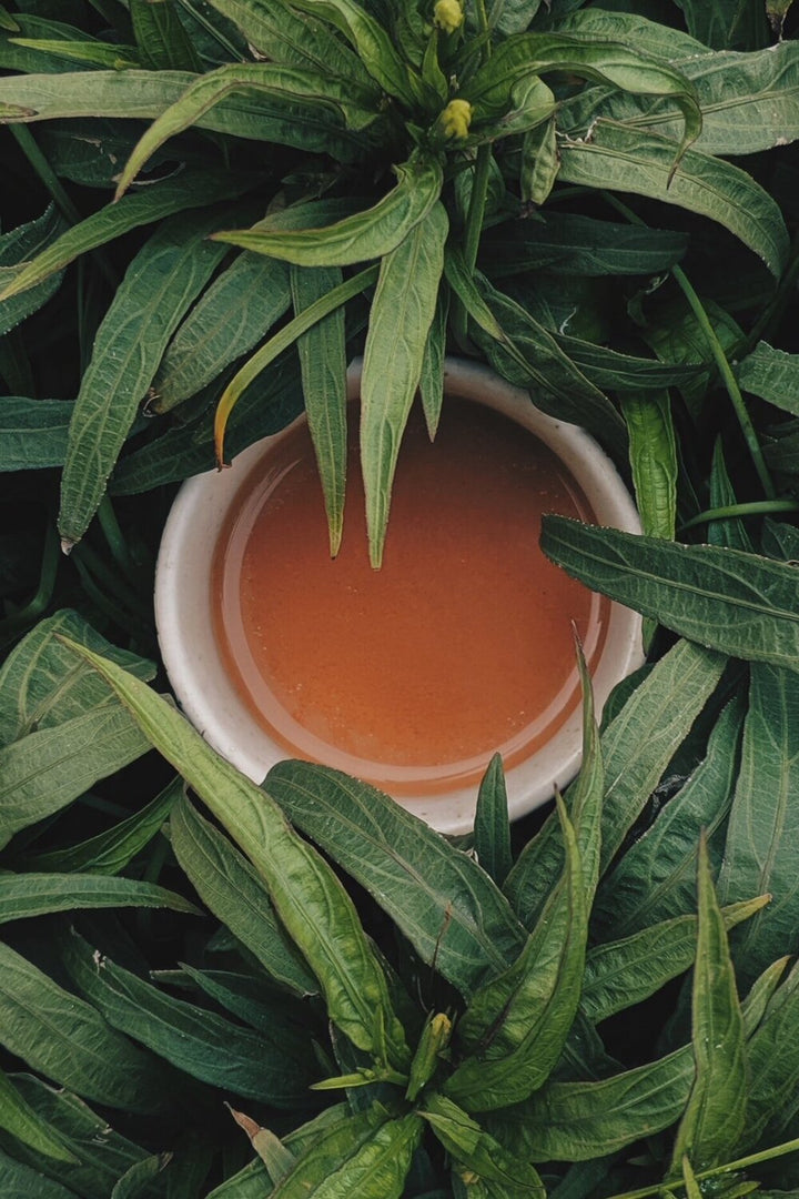 Sparkling Jasmine Green Tea